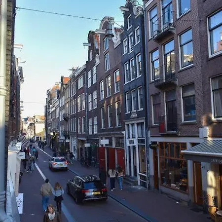 New Cosy In 9 Streets *